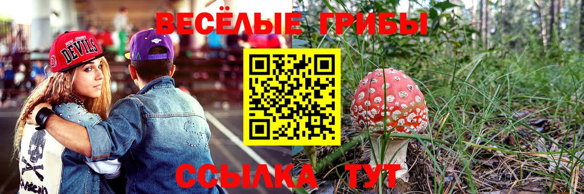 наркошоп  Вход с VPN  Батайск  Галлюциногенные грибы мицелий 